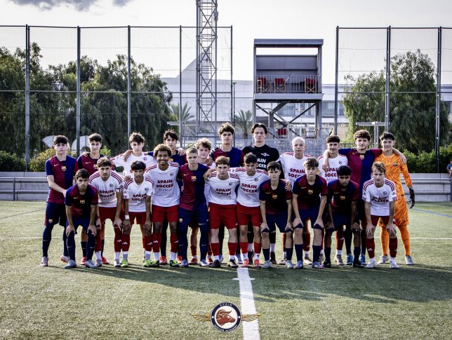 International Professional High-Performance Football School